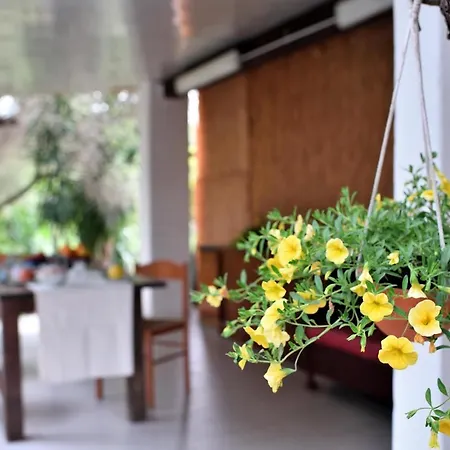 Casa Vacanze Congiu 펜션 토르톨리